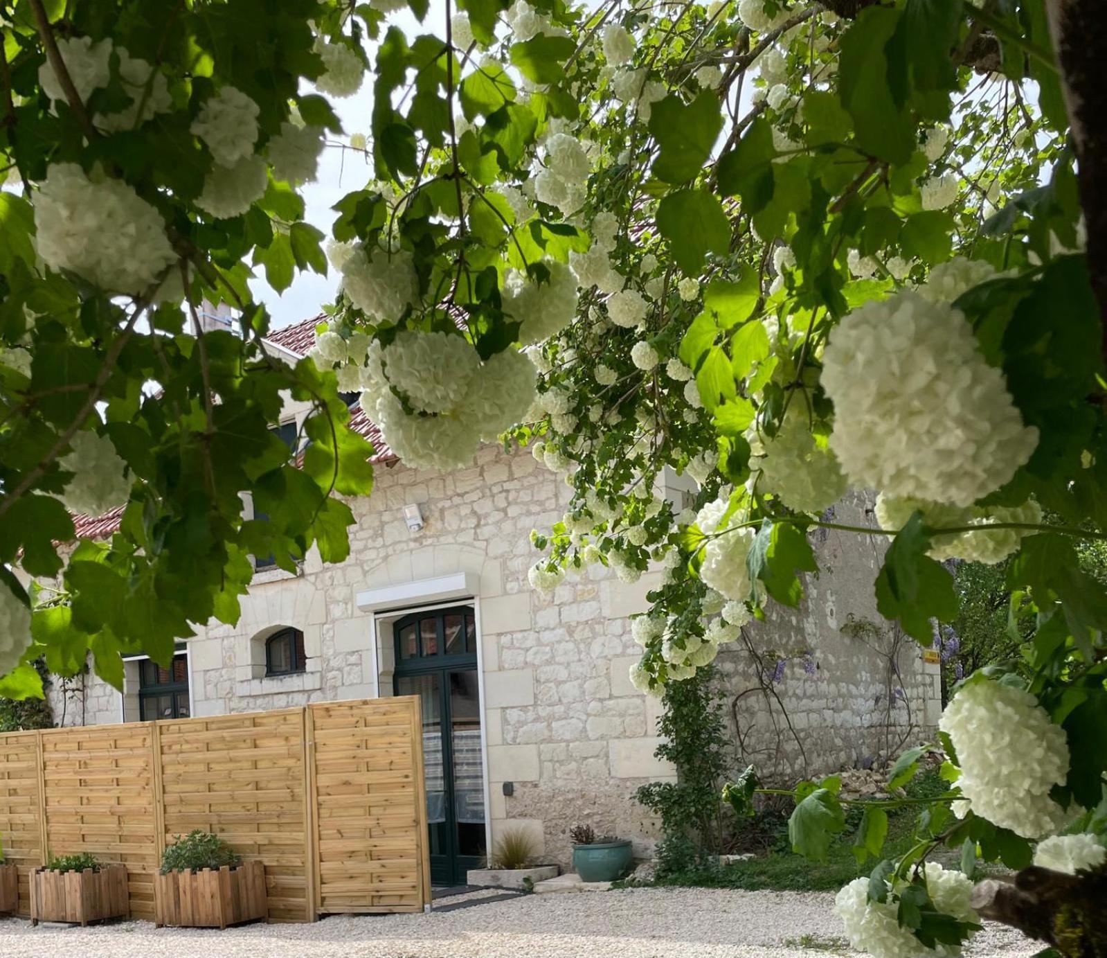 Le Relais, La Dormance, Le Bois Dormant Hotel Chateauvieux  Luaran gambar