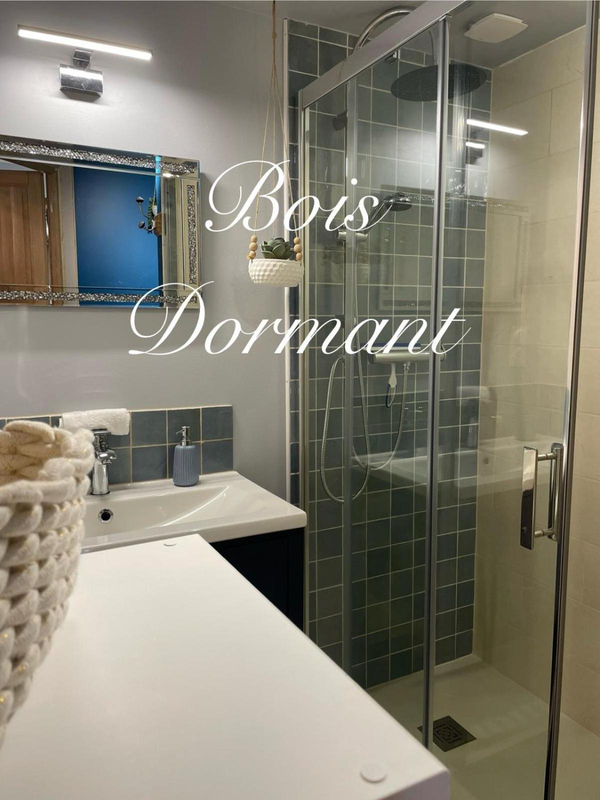Le Relais, La Dormance, Le Bois Dormant Hotel Chateauvieux  Luaran gambar
